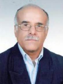 محمد رضا شمس 