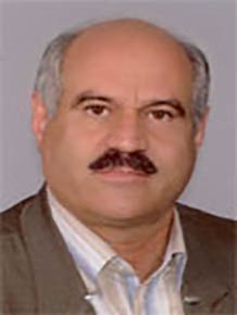 سید ابوالحسن شاهرخی 