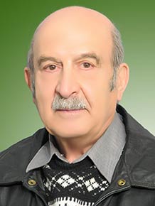 کریم خان زندبیگلری