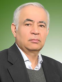 محمد جعفر زند