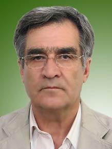 حمید معین وزیری