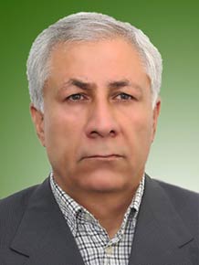 بیژن امیری