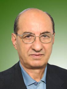 محمد محب علی