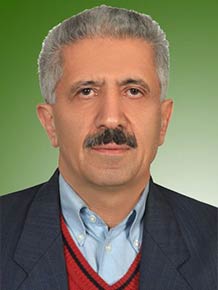 محمد محمدی