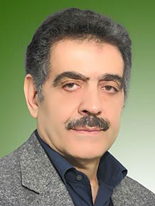 محمدحسن پیوندی ثانی