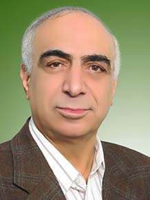 سید جواد ولی نیا