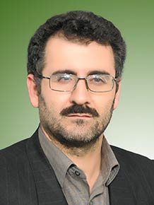 محسن محمدی گلنکشی