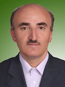 سید عین الدین قوامی