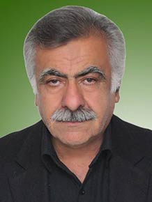 محمد زارعی هنزکی