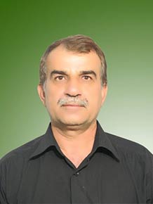 محمد امامی