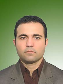 امیر شرافتی