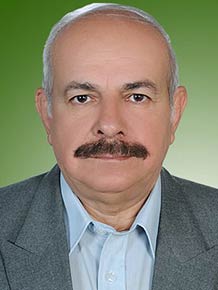 حمید کنگرلو ذوالفقاری