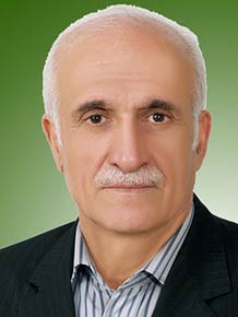 محمد پولادی