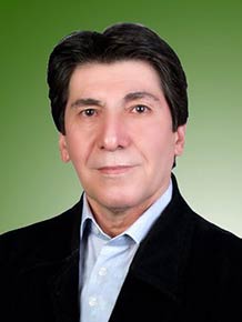 محمد ابراهیمی