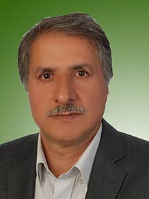 محمد ابوالفتحی