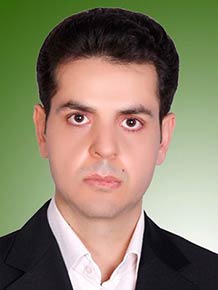 حمید نظری تنها