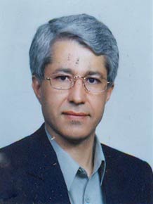 سید محمد وکیل التجار 