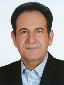 سید حسین میر محمد صادقی 