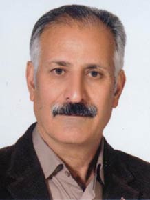 سید نورالدین صفا 